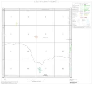 Primary view of object titled '2000 Census County Block Map: Wheeler County, Index'.