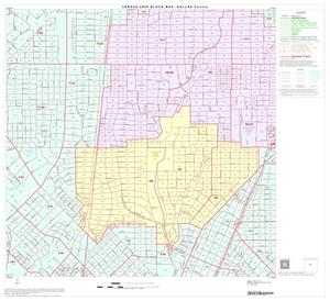 2000 Census County Block Map: Dallas County, Block 35