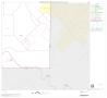 Map: 2000 Census County Block Map: Dallas County, Block 100