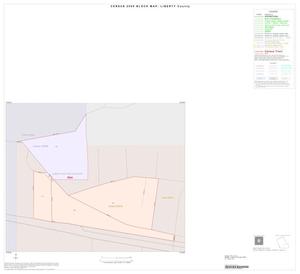 2000 Census County Block Map: Liberty County, Inset E01