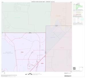 2000 Census County Block Map: Tarrant County, Block 10