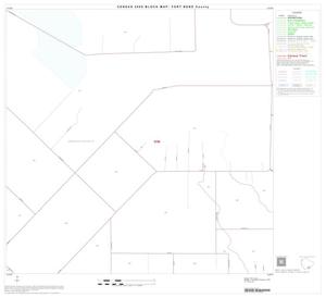 2000 Census County Block Map: Fort Bend County, Block 54