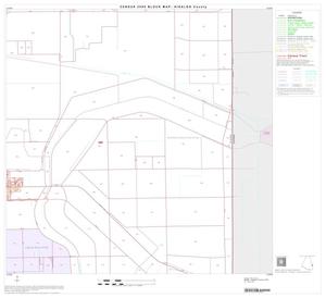 2000 Census County Block Map: Hidalgo County, Block 63