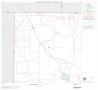 Map: 2000 Census County Block Map: Coleman County, Block 1