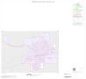 Map: 2000 Census County Block Map: Uvalde County, Inset B01