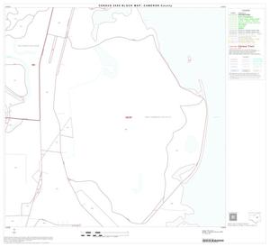 2000 Census County Block Map: Cameron County, Block 32