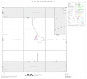 Primary view of 2000 Census County Block Map: Menard County, Index