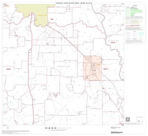 2000 Census County Block Map: Wise County, Block 10