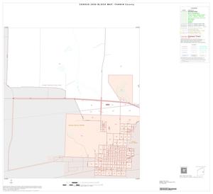 2000 Census County Block Map: Fannin County, Inset B03