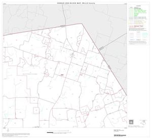 2000 Census County Block Map: Mills County, Block 3