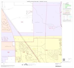 2000 Census County Block Map: Tarrant County, Block 24