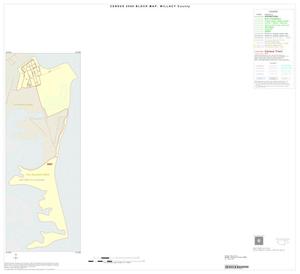 2000 Census County Block Map: Willacy County, Inset A01