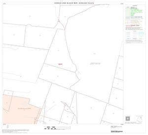 2000 Census County Block Map: Hidalgo County, Block 18