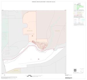 2000 Census County Block Map: Hidalgo County, Inset W01