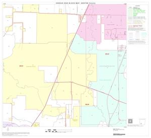 2000 Census County Block Map: Denton County, Block 43