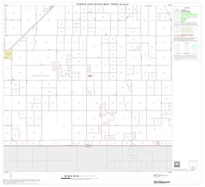 2000 Census County Block Map: Terry County, Block 8