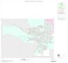 Map: 2000 Census County Block Map: Jim Hogg County, Inset A03