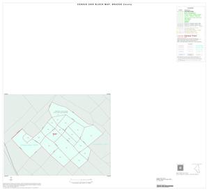 2000 Census County Block Map: Brazos County, Inset D01