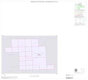 2000 Census County Block Map: Nacogdoches County, Inset B01