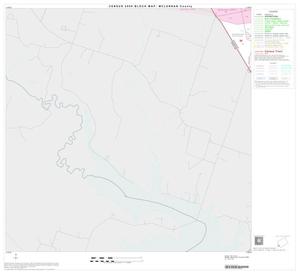 Primary view of object titled '2000 Census County Block Map: McLennan County, Block 41'.