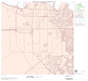 2000 Census County Block Map: Nueces County, Block 29