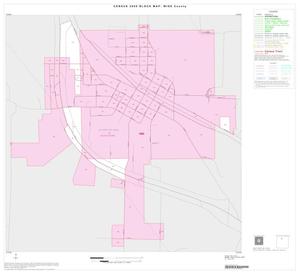 2000 Census County Block Map: Wise County, Inset B01