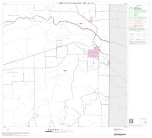 2000 Census County Block Map: Hall County, Block 6