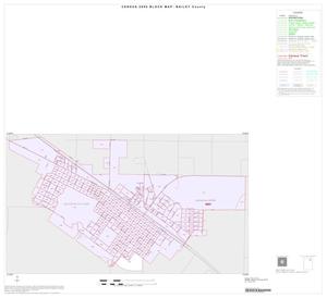 2000 Census County Block Map: Bailey County, Inset A01