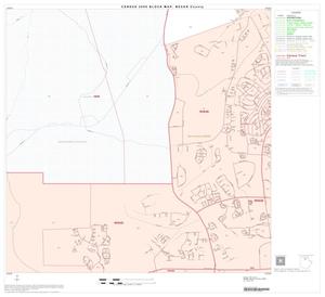 2000 Census County Block Map: Bexar County, Block 21