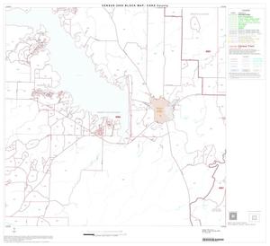 2000 Census County Block Map: Coke County, Block 5