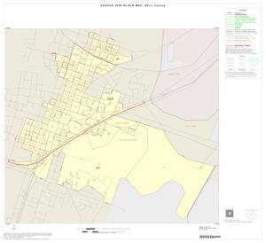 2000 Census County Block Map: Bell County, Inset E01