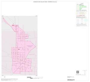 Primary view of object titled '2000 Census County Block Map: Morris County, Inset C01'.