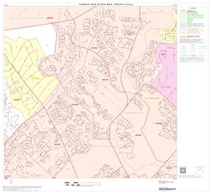 2000 Census County Block Map: Bexar County, Block 29