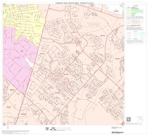 2000 Census County Block Map: Bexar County, Block 30