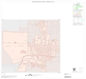 2000 Census County Block Map: Fannin County, Inset D01