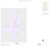 Map: 2000 Census County Block Map: Real County, Inset A01