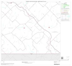 2000 Census County Block Map: Montague County, Block 19