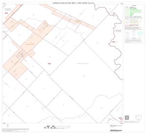 2000 Census County Block Map: Fort Bend County, Block 45