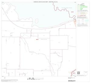 2000 Census County Block Map: Denton County, Block 13