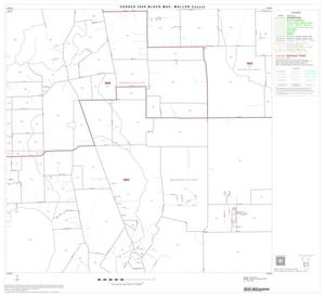 2000 Census County Block Map: Waller County, Block 8