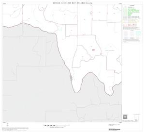 2000 Census County Block Map: Coleman County, Block 22