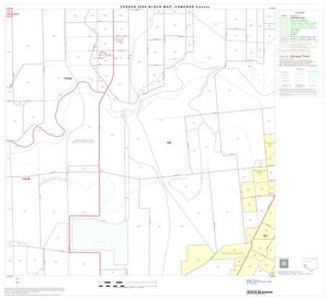 2000 Census County Block Map: Cameron County, Block 36