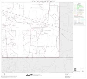 2000 Census County Block Map: Reagan County, Block 12