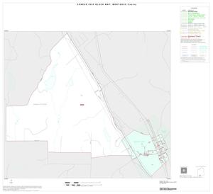 2000 Census County Block Map: Montague County, Inset E01