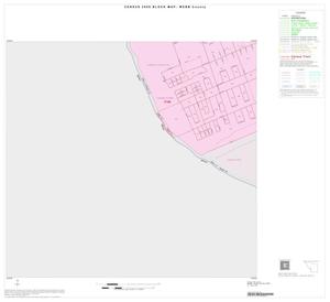 2000 Census County Block Map: Webb County, Inset B04