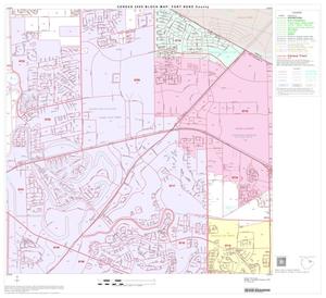 2000 Census County Block Map: Fort Bend County, Block 20