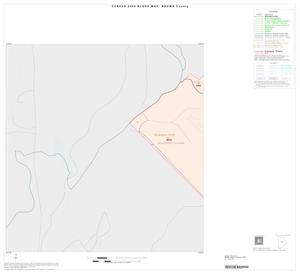 Primary view of object titled '2000 Census County Block Map: Brown County, Inset E01'.