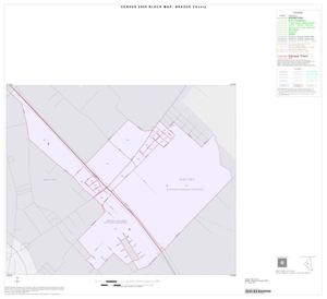 2000 Census County Block Map: Brazos County, Inset A01