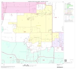 2000 Census County Block Map: Denton County, Block 44