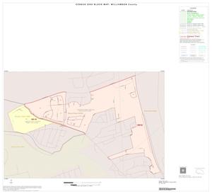 2000 Census County Block Map: Williamson County, Inset J01
